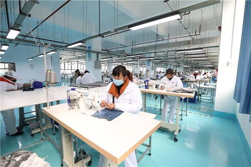 玉屏經(jīng)開區(qū) 防疫生產(chǎn)兩手抓，網(wǎng)站建設(shè)助力企業(yè)穩(wěn)步發(fā)展